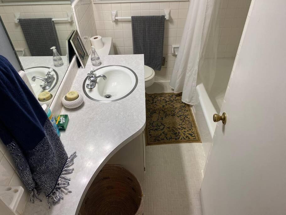 Whole House In Athens, Private, Fenced, Convenient, Close To Downtown Екстериор снимка